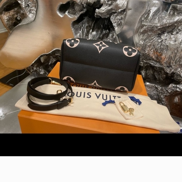 Louis Vuitton Black and Cream Satchel - Picture 6 of 9